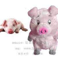 根据实体小猪变形设计卡通小猪造形玩具